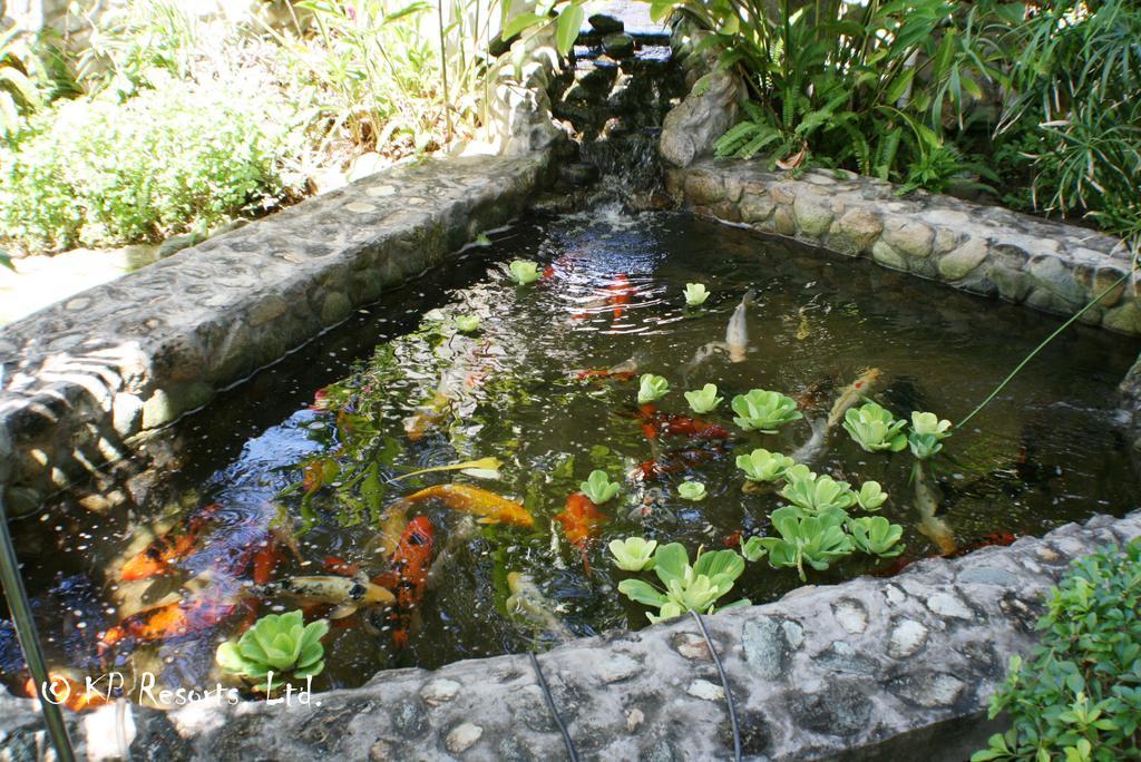 Enchanted Waters Tobago Buccoo Εξωτερικό φωτογραφία